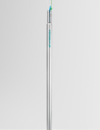 POMPA PNEUMATICA TOTAL FLUID TOP INLET 2" INOX 316